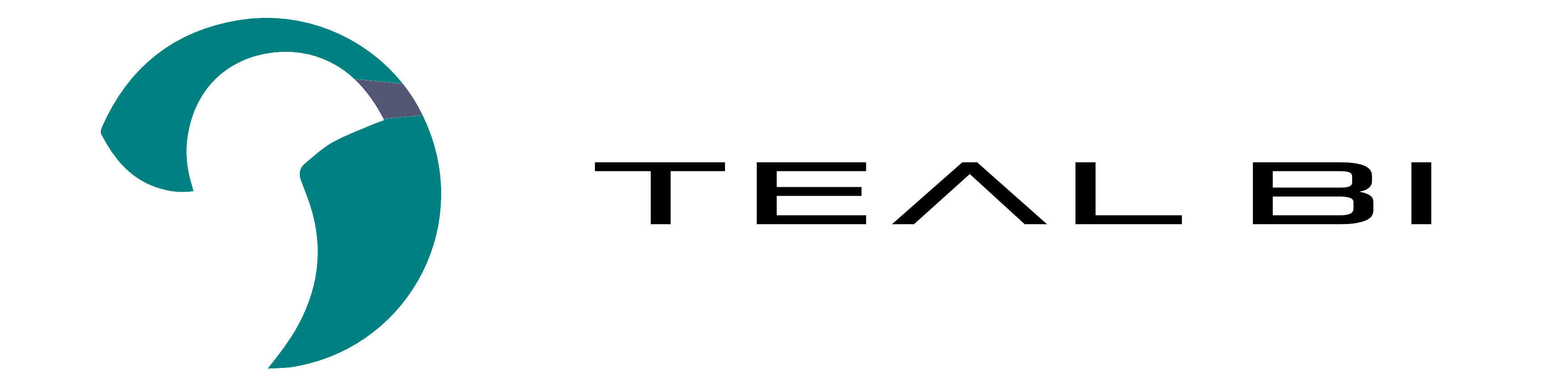 TEAL BI